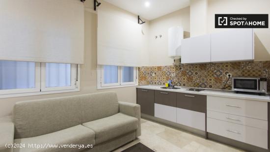 Encantador apartamento de 1 dormitorio con aire acondicionado y terraza en alquiler en Madrid Centro