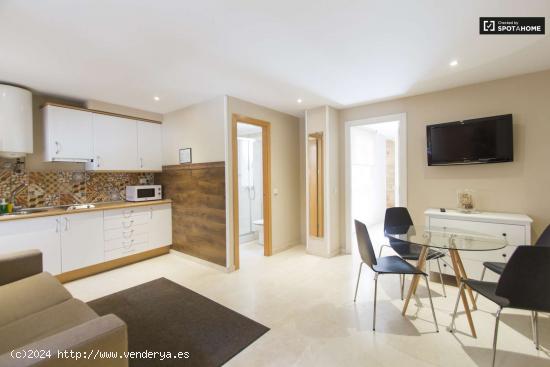 Luminoso apartamento de 1 dormitorio en alquiler en el centro de Madrid - MADRID