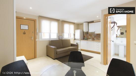 Luminoso apartamento de 1 dormitorio en alquiler en el centro de Madrid - MADRID