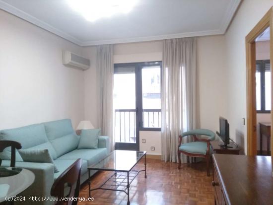 Amplio apartamento de 1 dormitorio en alquiler en Atocha - MADRID