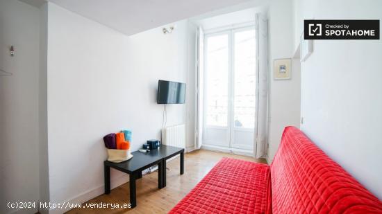 Hermoso y luminoso apartamento de 1 dormitorio en alquiler en Centro - MADRID