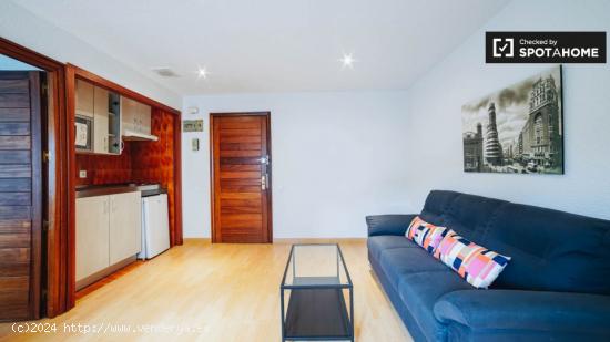 Precioso apartamento de 1 dormitorio con azulejos de mármol en alquiler en Salamanca, Madrid - MADR