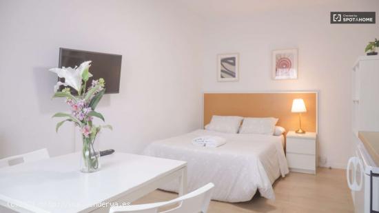 Luminoso apartamento estudio en alquiler en Moncloa - MADRID