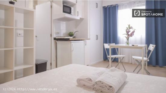 Luminoso apartamento estudio en alquiler en Moncloa - MADRID