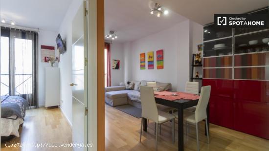 Apartamento de 1 dormitorio en alquiler en Lavapiés - MADRID