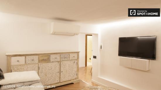 Apartamento bien equipado de 1 dormitorio en alquiler en diversos Lavapiés - MADRID