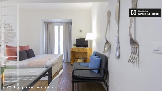 Apartamento de estudio limpio en el centro - MADRID