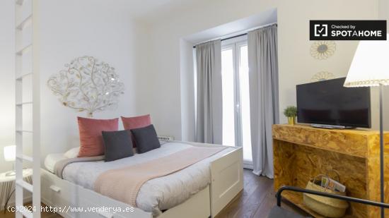 Apartamento de estudio limpio en el centro - MADRID