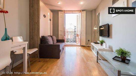 Apartamento en alquiler en Centro, Madrid - MADRID