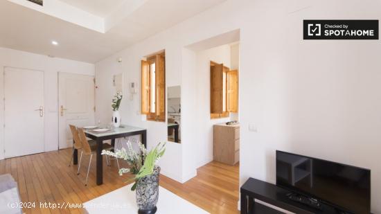 Apartamento de 1 dormitorio en alquiler en Puerta de Angel - MADRID