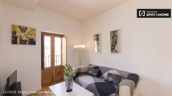 Apartamento de 1 dormitorio en alquiler en Puerta de Angel - MADRID