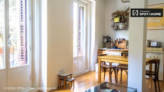 Luminoso apartamento de 1 dormitorio en alquiler en Lavapiés - MADRID