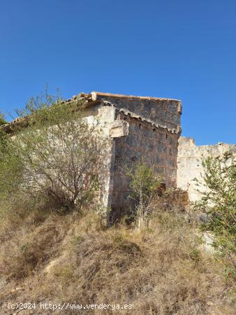 TERRENO EN VENTA EN MURO - BALEARES