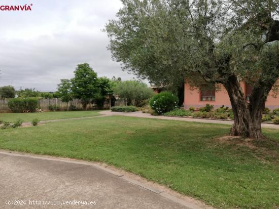 Finca rustica con vivienda y frutales en Albelda de Iregua - LA RIOJA