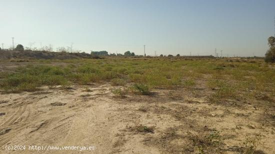  Terreno No Urbanizable - Alhama de Murcia - MURCIA 