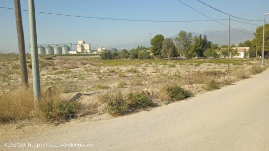 Terreno No Urbanizable - Alhama de Murcia - MURCIA