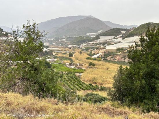 Acogedora finca rústica en La Nucía - ALICANTE