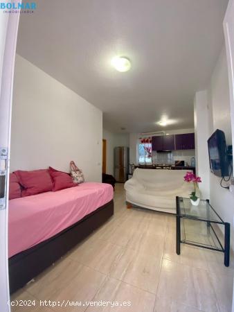 APARTAMENTO EN PLANTA BAJA EN PLAYASOL - MURCIA