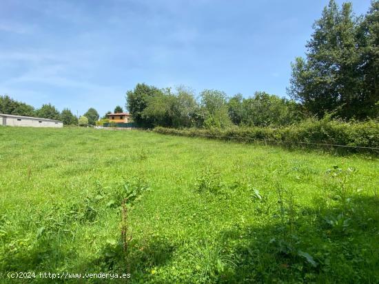  VENTA DE FINCA A 4 KM DE RIBADESELLA - ASTURIAS 