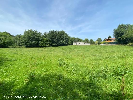 VENTA DE FINCA A 4 KM DE RIBADESELLA - ASTURIAS