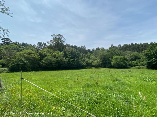 VENTA DE FINCA A 4 KM DE LA PLAYA DE SANTA MARINA - ASTURIAS