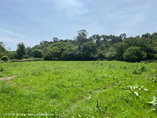 VENTA DE FINCA A 4 KM DE LA PLAYA DE SANTA MARINA - ASTURIAS