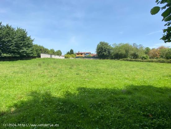  VENTA DE FINCA EDIFICABLE A 4 KM DE RIBADESELLA - ASTURIAS 