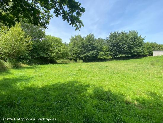 VENTA DE FINCA EDIFICABLE A 4 KM DE RIBADESELLA - ASTURIAS