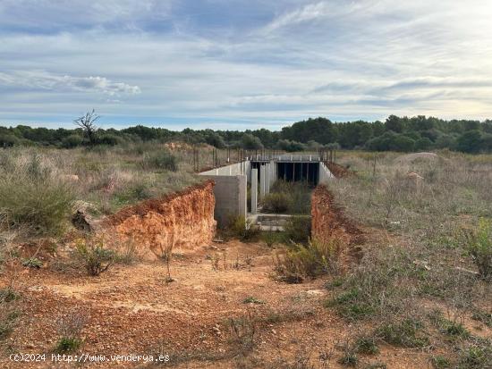  FINCA RÚSTICA CON LICENCIA PARA EMPEZAR A CONSTRUIR - BALEARES 