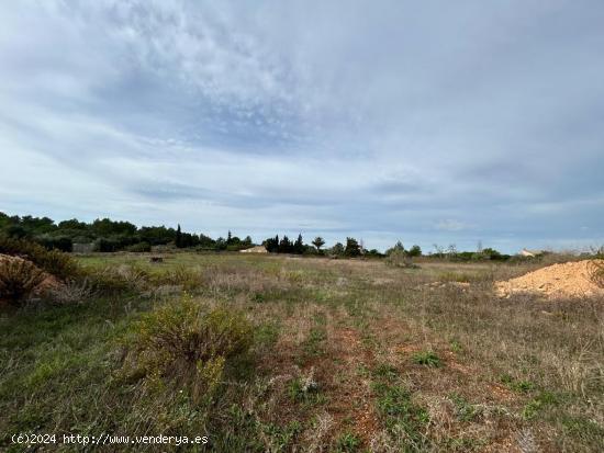 FINCA RÚSTICA CON LICENCIA PARA EMPEZAR A CONSTRUIR - BALEARES