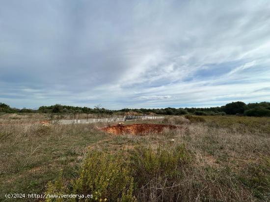 FINCA RÚSTICA CON LICENCIA PARA EMPEZAR A CONSTRUIR - BALEARES