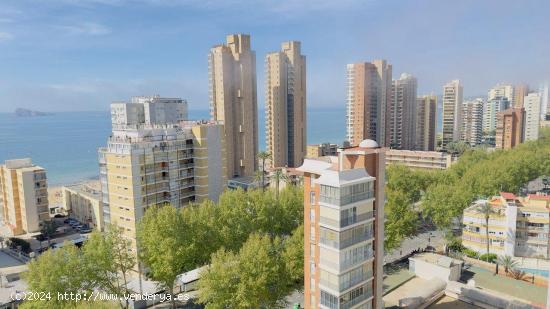 Piso calle Gerona, Playa de Levante Benidorm - ALICANTE