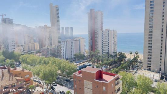 Piso calle Gerona, Playa de Levante Benidorm - ALICANTE