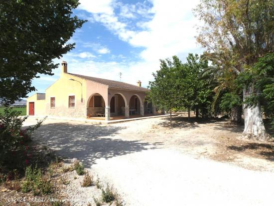 CASA DE HUERTA CON TERRENO - ALICANTE