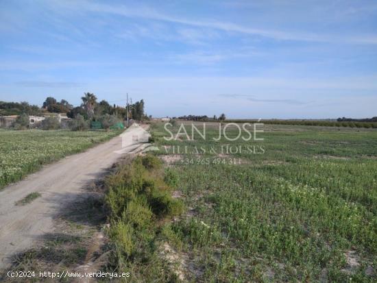 VENTA DE PARCELA EN LAS BAYAS BAJA - ALICANTE