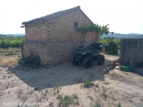 FINCA RUSTICA EN GINESTAR A ORILLAS DEL RIO EBRO - TARRAGONA