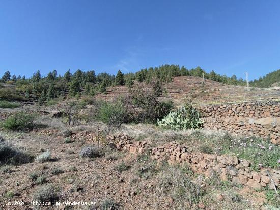 Terreno en venta Vilaflor - SANTA CRUZ DE TENERIFE