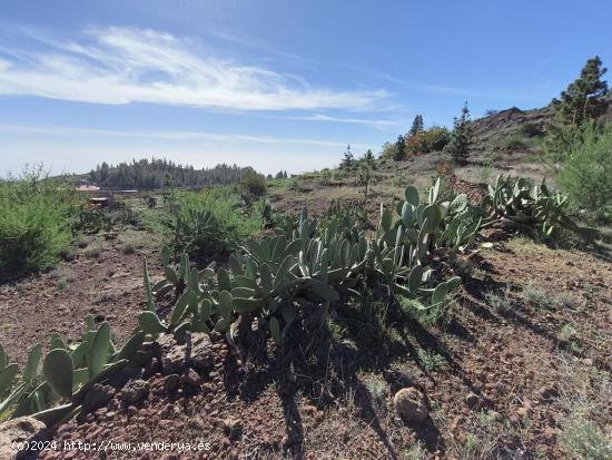 Terreno en venta Vilaflor - SANTA CRUZ DE TENERIFE