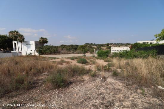 Parcela en Santa Barbara la Nueva - VALENCIA