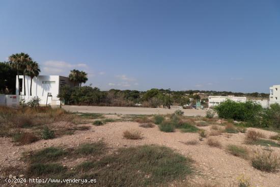 Parcela en Santa Barbara la Nueva - VALENCIA