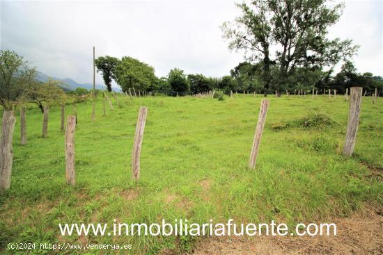 SE VENDE CASA DE 3 PLANTAS CONSTRUIDO EN PARCELA DE 484 M2, VILLAVERDE DE TRUCIOS - CANTABRIA