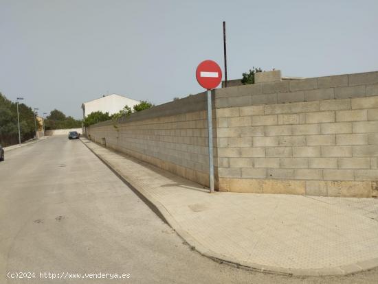 Solar edificable en Muro - BALEARES