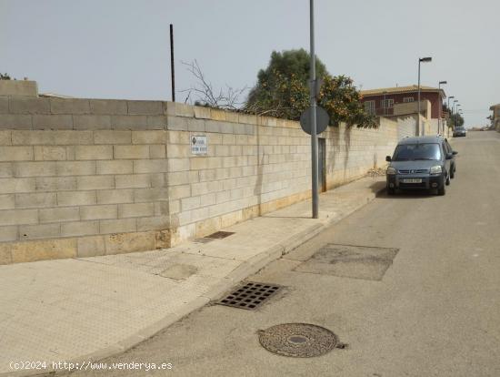 Solar edificable en Muro - BALEARES