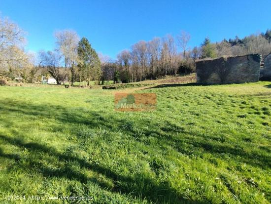 SE VENDE FINCA CON CASA DE PIEDRA PARA REHABILITAR EN CASTRO DE REI - LUGO