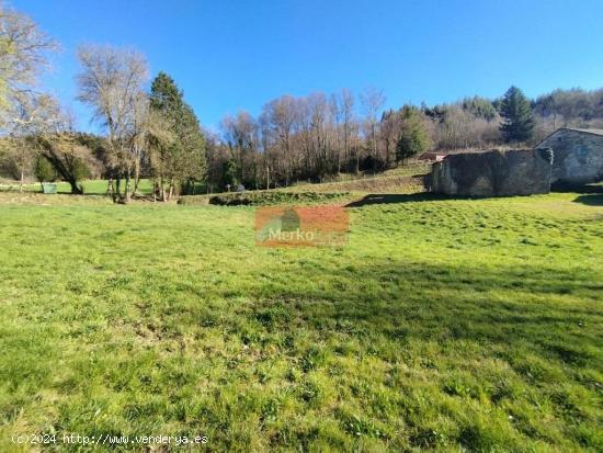 SE VENDE FINCA CON CASA DE PIEDRA PARA REHABILITAR EN CASTRO DE REI - LUGO