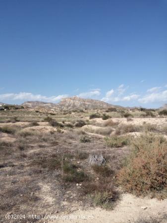 GRAN TERRENO RUSTICO EN TOSSAL REDO - ALICANTE