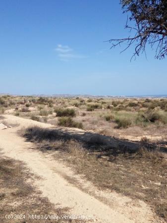 GRAN TERRENO RUSTICO EN TOSSAL REDO - ALICANTE