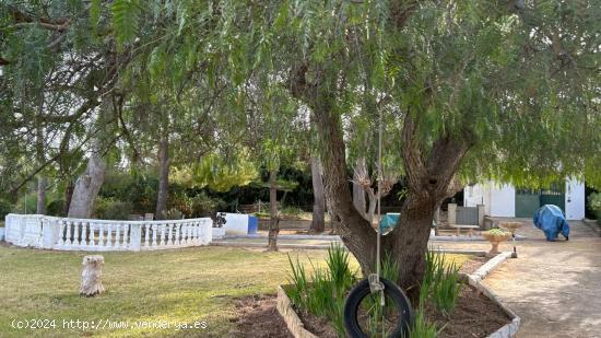 CHALET CON VISTAS AL DELTA Y GRAN PARCELA RODEADA DE ARBOLES - TARRAGONA