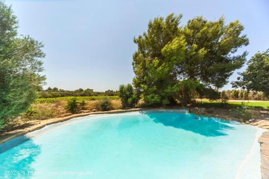 SE VENDE FINCA RUSTICA EN SENCELLES - BALEARES