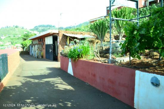 Finca con Bodega y Salón en Las Mercedes, San Cristóbal de La Laguna - SANTA CRUZ DE TENERIFE